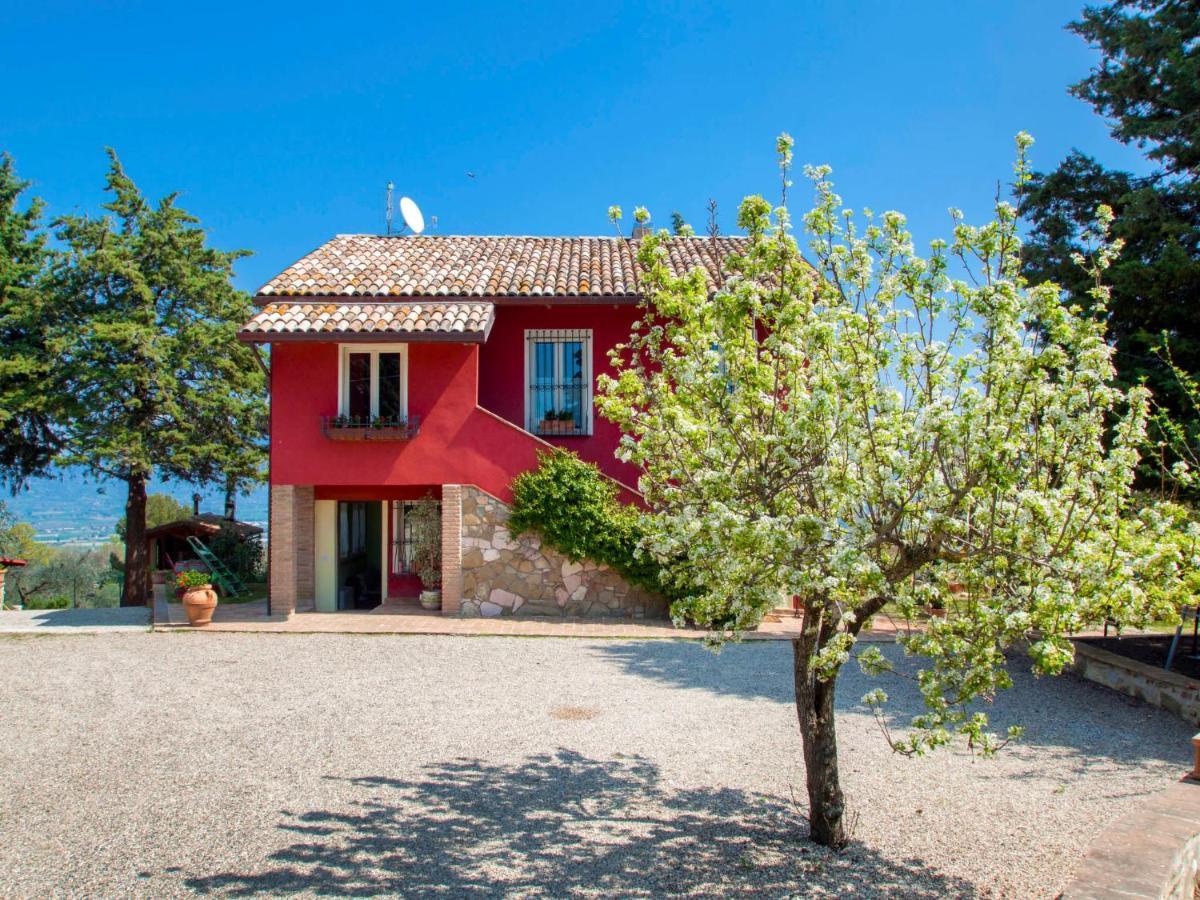 Holiday Home La Letizia By Interhome Collemancio Eksteriør bilde